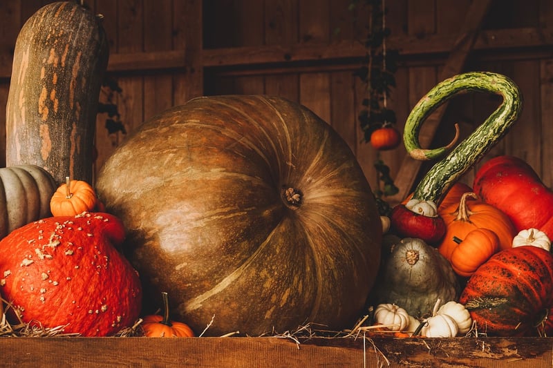 Seasonal Harvest Meals